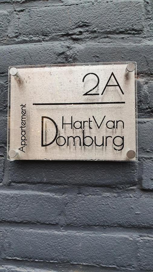 Schitterend Appartement Hartvanドンブルグ エクステリア 写真